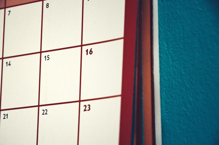 Simple Cleaning Schedule for the Whole Week to Keep Your Home Sparkling